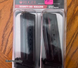 Ruger Security .380 Magazine Pair